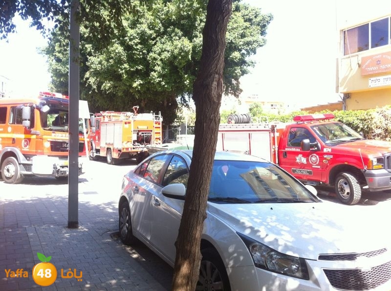 firese77anfsiya511 (3).JPG